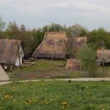 image-01