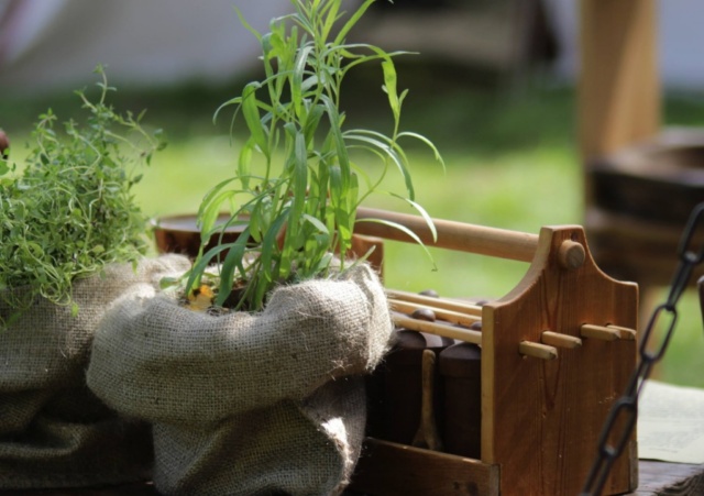 Lütjenburger Aufbruch 2017