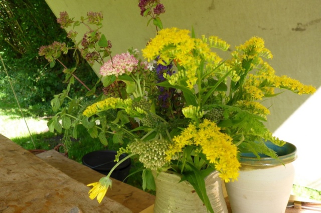 Lütjenburger Aufbruch 2017