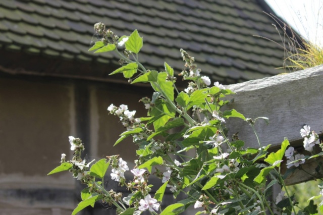 Lütjenburger Aufbruch 2017