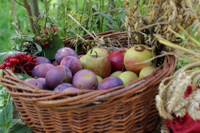 Lütjenburger Aufbruch 2017