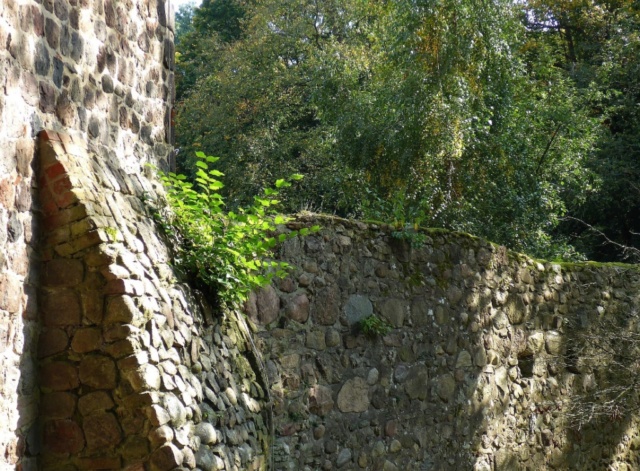 Ottonische Wanderausstellung