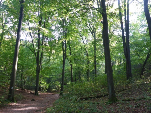 Ottonische Wanderausstellung