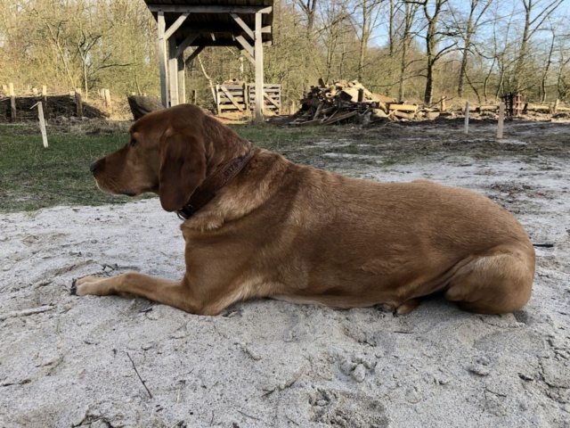 Eine Nacht im Kloster