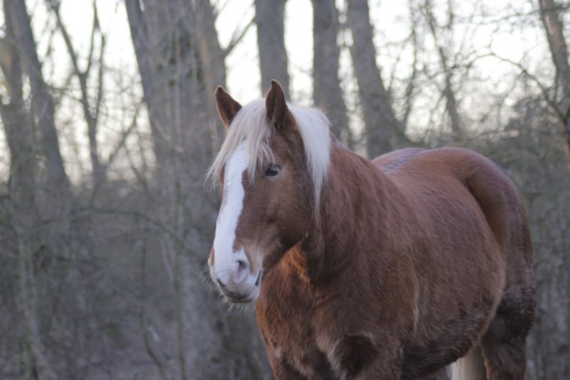 Eine Nacht im Kloster