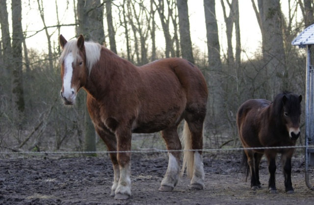 Eine Nacht im Kloster