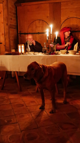 Martinie-Köste 2022