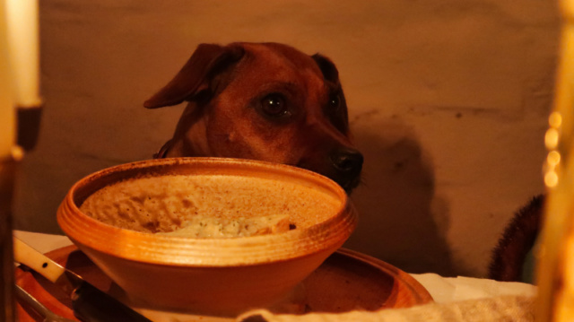 Martinie-Köste 2022