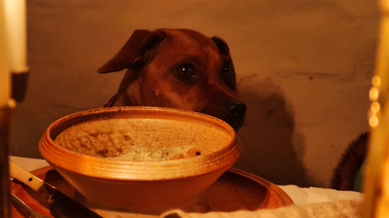 Martinie-Köste 2022