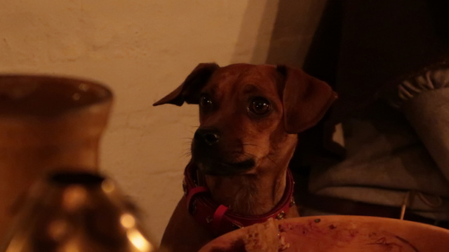 Martinie-Köste 2022