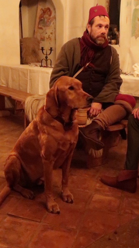 Martinie-Köste 2022