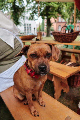 850 Jahre Dom Lübeck