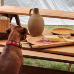 850 Jahre Dom Lübeck