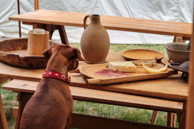 850 Jahre Dom Lübeck